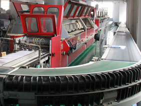 膠裝龍.jpg 膠裝龍.jpg